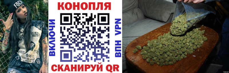 Бошки Шишки планчик  Купить где  Иланский 